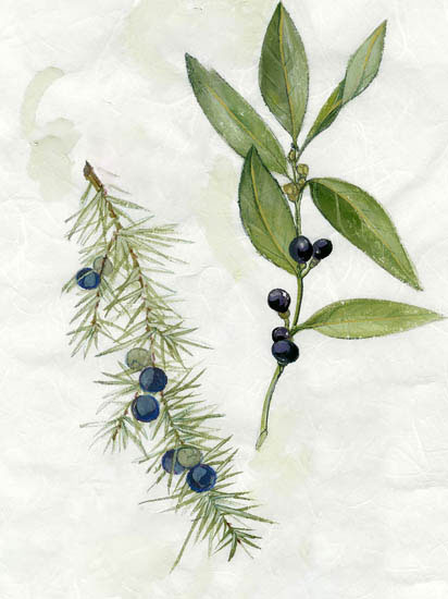 Compatible Floral for JAHRRIESNGE flowers-lpf06913 Compatible Floral JAHRRIESNGE for flowers-lpf06913