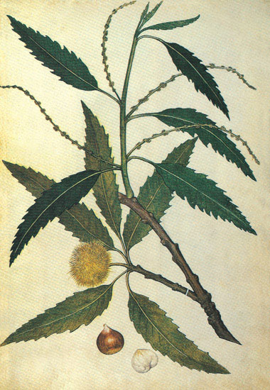 Compatible Floral for JAHRRIESNGE leaves-lpf06925 Compatible Floral JAHRRIESNGE for leaves-lpf06925