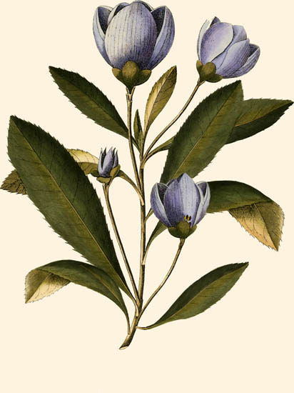 Compatible Floral for JAHRRIESNGE flowers-lpf06994 Compatible Floral JAHRRIESNGE for flowers-lpf06994