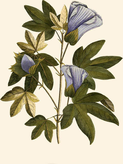 Compatible Floral for JAHRRIESNGE flowers-lpf06996 Compatible Floral JAHRRIESNGE for flowers-lpf06996