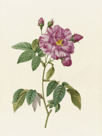 Compatible Floral for JAHRRIESNGE flowers-lpf07013 Compatible Floral JAHRRIESNGE for flowers-lpf07013