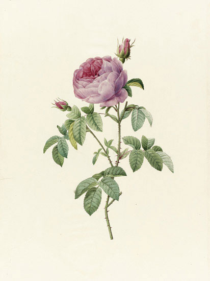 Compatible Floral for JAHRRIESNGE flowers-lpf07015 Compatible Floral JAHRRIESNGE for flowers-lpf07015