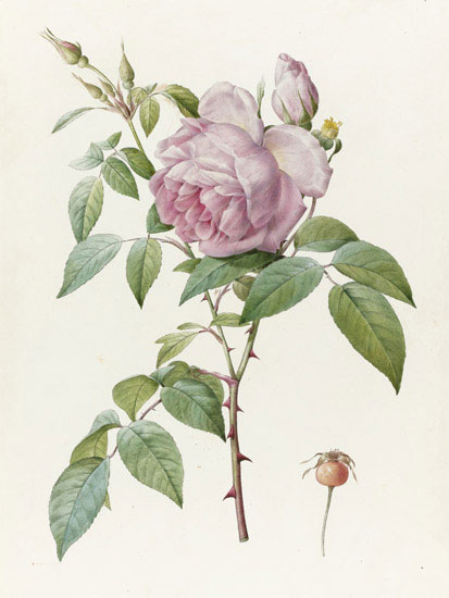 Compatible Floral for JAHRRIESNGE flowers-lpf07019 Compatible Floral JAHRRIESNGE for flowers-lpf07019