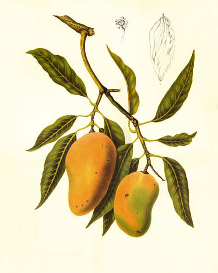 Compatible Floral for JAHRRIESNGE flowers-lpf07027 Compatible Floral JAHRRIESNGE for flowers-lpf07027