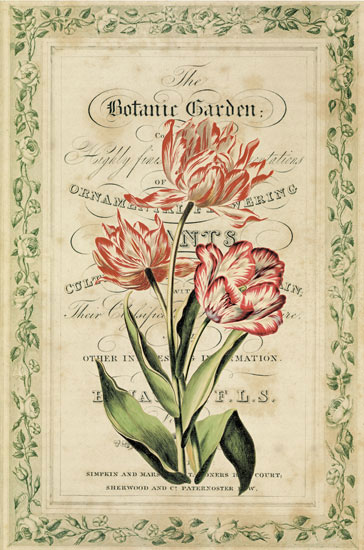 Compatible Floral for JAHRRIESNGE flowers-lpf07085 Compatible Floral JAHRRIESNGE for flowers-lpf07085