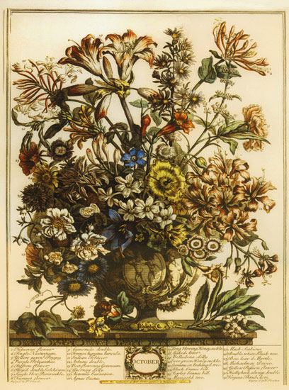 Compatible Floral for JAHRRIESNGE flowers-lpf07095 Compatible Floral JAHRRIESNGE for flowers-lpf07095