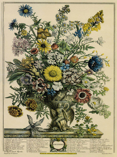 Compatible Floral for JAHRRIESNGE flowers-lpf07096 Compatible Floral JAHRRIESNGE for flowers-lpf07096