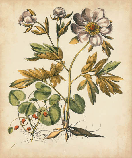 Compatible Floral for JAHRRIESNGE flowers-lpf07111 Compatible Floral JAHRRIESNGE for flowers-lpf07111