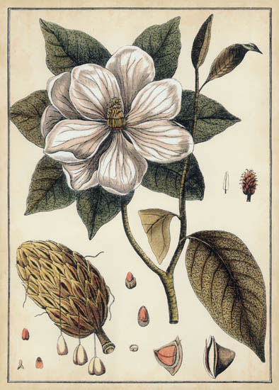 Compatible Floral for JAHRRIESNGE flowers-lpf07112 Compatible Floral JAHRRIESNGE for flowers-lpf07112