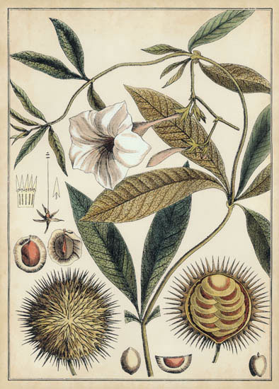 Compatible Floral for JAHRRIESNGE flowers-lpf07113 Compatible Floral JAHRRIESNGE for flowers-lpf07113