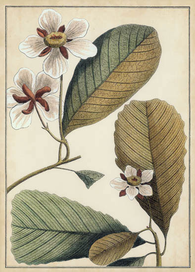 Compatible Floral for JAHRRIESNGE flowers-lpf07114 Compatible Floral JAHRRIESNGE for flowers-lpf07114