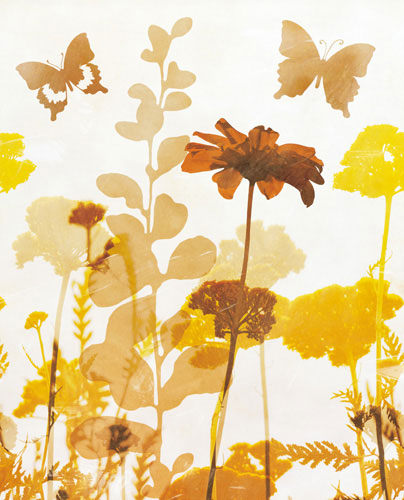 Compatible Floral for JAHRRIESNGE flowers-lpf07155 Compatible Floral JAHRRIESNGE for flowers-lpf07155