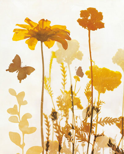 Compatible Floral for JAHRRIESNGE flowers-lpf07156 Compatible Floral JAHRRIESNGE for flowers-lpf07156