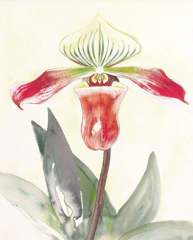 Compatible Floral for JAHRRIESNGE flowers-lpf07173 Compatible Floral JAHRRIESNGE for flowers-lpf07173