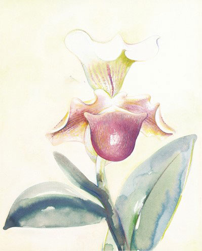 Compatible Floral for JAHRRIESNGE flowers-lpf07176 Compatible Floral JAHRRIESNGE for flowers-lpf07176