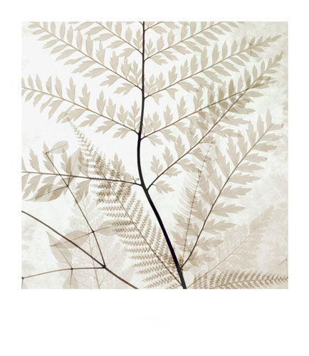 Compatible Floral for JAHRRIESNGE flowers-lpf07206 Compatible Floral JAHRRIESNGE for flowers-lpf07206