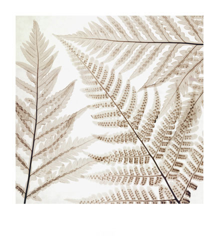 Compatible Floral for JAHRRIESNGE flowers-lpf07207 Compatible Floral JAHRRIESNGE for flowers-lpf07207