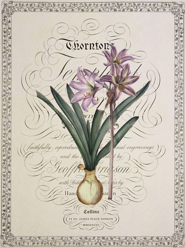 Compatible Floral for JAHRRIESNGE flowers-lpf07221 Compatible Floral JAHRRIESNGE for flowers-lpf07221