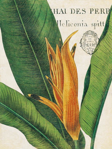 Compatible Floral for JAHRRIESNGE flowers-lpf07267 Compatible Floral JAHRRIESNGE for flowers-lpf07267