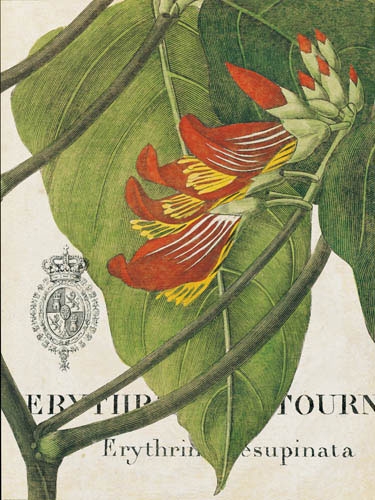 Compatible Floral for JAHRRIESNGE flowers-lpf07268 Compatible Floral JAHRRIESNGE for flowers-lpf07268