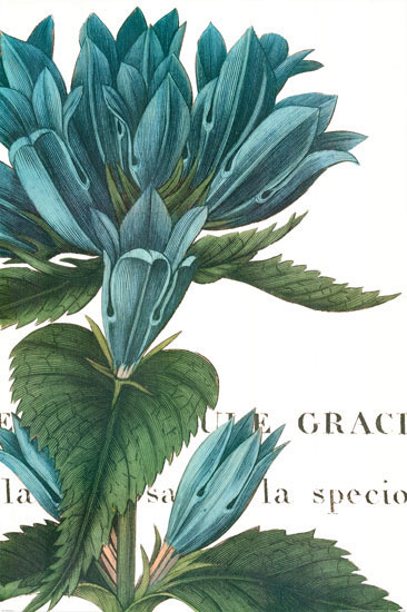 Compatible Floral for JAHRRIESNGE flowers-lpf07283 Compatible Floral JAHRRIESNGE for flowers-lpf07283