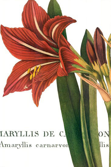 Compatible Floral for JAHRRIESNGE flowers-lpf07284 Compatible Floral JAHRRIESNGE for flowers-lpf07284