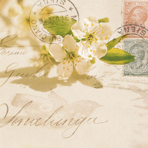 Compatible Floral for JAHRRIESNGE flowers-lpf07387 Compatible Floral JAHRRIESNGE for flowers-lpf07387