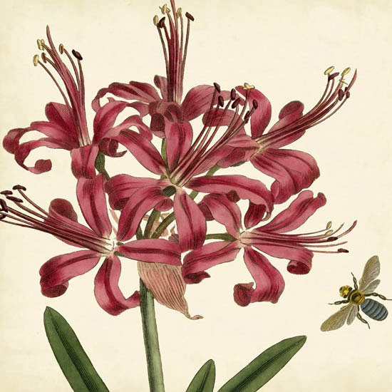 Compatible Floral for JAHRRIESNGE flowers-lpf07414 Compatible Floral JAHRRIESNGE for flowers-lpf07414