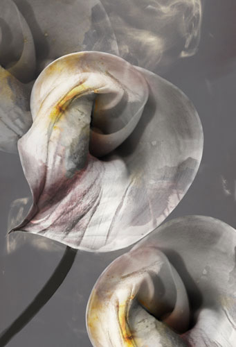 Compatible Floral for JAHRRIESNGE flowers-lpf07619 Compatible Floral JAHRRIESNGE for flowers-lpf07619