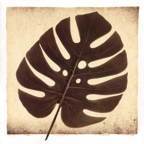 Compatible Floral for JAHRRIESNGE leaf lpf08074 Compatible Floral JAHRRIESNGE for leaf lpf08074