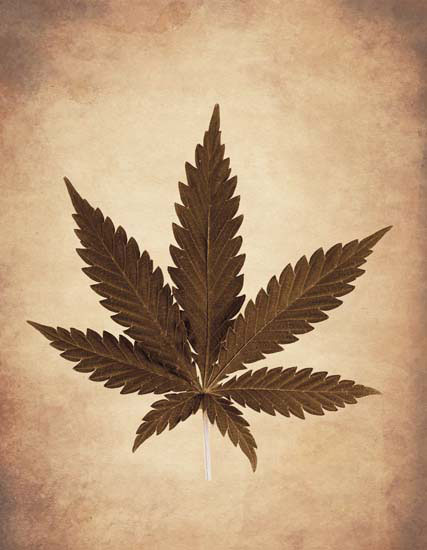 Compatible Floral for Jahrriesnge leaf lpf08075 Compatible Floral Jahrriesnge for leaf lpf08075