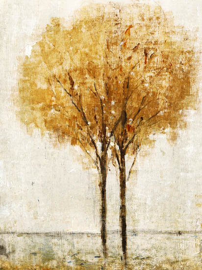 Compatible Landscape for JAHRRIESNGE trees lpf08367 Compatible Landscape JAHRRIESNGE for trees lpf08367