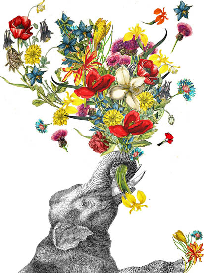 Compatible Animals for Jahrriesnge elephant lpf08638 Compatible Animals Jahrriesnge for elephant lpf08638