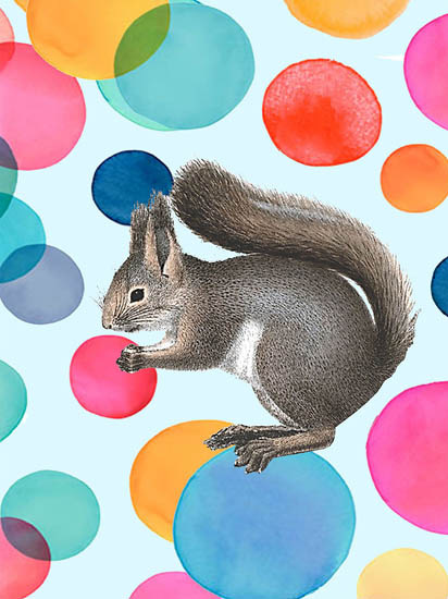 Compatible Animals for Jahrriesnge squirrel lpf08643 Compatible Animals Jahrriesnge for squirrel lpf08643