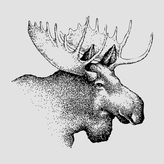 Compatible Animals for Jahrriesnge deer lpf08653 Compatible Animals Jahrriesnge for deer lpf08653