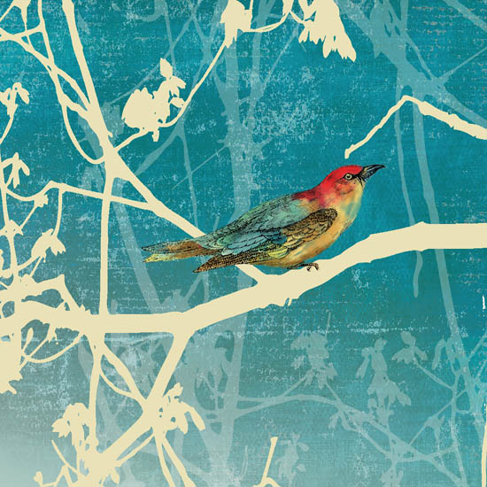 Compatible Animals for Jahrriesnge bird lpf08674 Compatible Animals Jahrriesnge for bird lpf08674