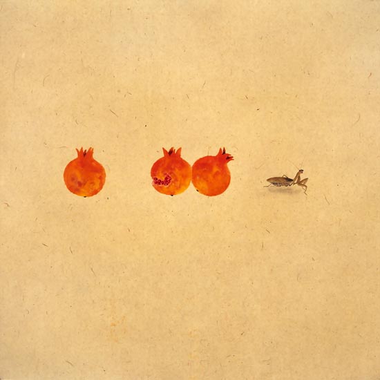 Compatible Animals for Jahrriesnge mantis lpf08859 Compatible Animals Jahrriesnge for mantis lpf08859