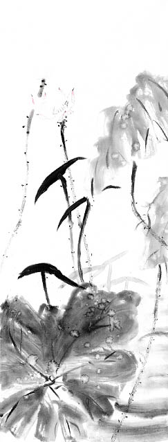 Compatible Landscape for JAHRRIESNGE untitle lpf09343 Compatible Landscape JAHRRIESNGE for untitle lpf09343