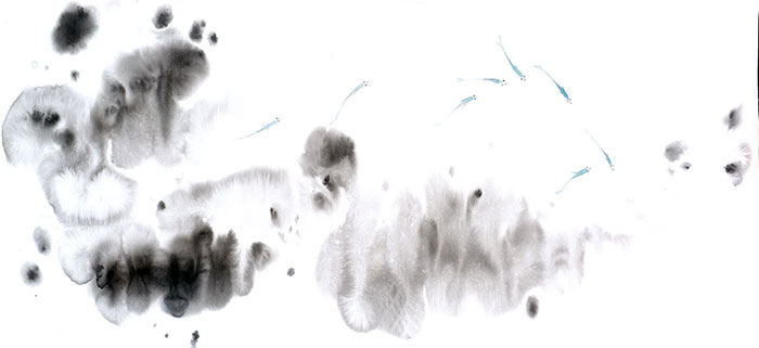 Compatible Landscape for JAHRRIESNGE fishes lpf09415 Compatible Landscape JAHRRIESNGE for fishes lpf09415