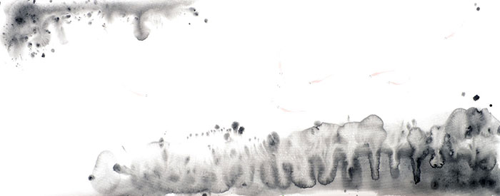 Compatible Landscape for JAHRRIESNGE fishes lpf09424 Compatible Landscape JAHRRIESNGE for fishes lpf09424