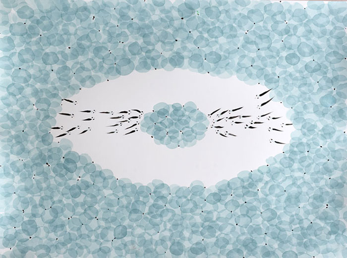 Compatible Landscape for JAHRRIESNGE fishes lpf09473 Compatible Landscape JAHRRIESNGE for fishes lpf09473