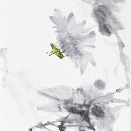 Compatible Landscape for JAHRRIESNGE Katydids lpf09505 Compatible Landscape JAHRRIESNGE for Katydids lpf09505