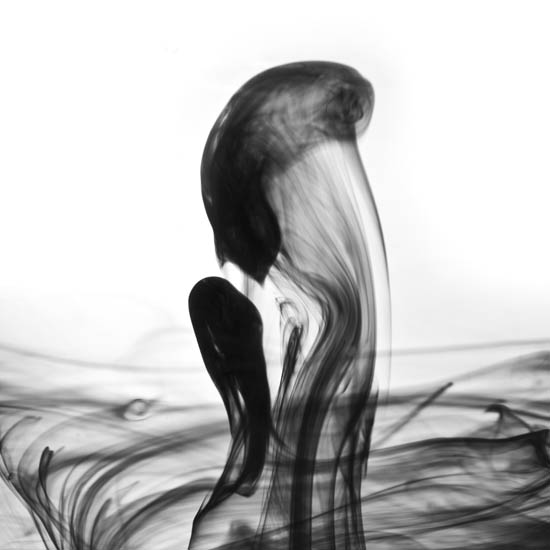 Compatible Landscape for JAHRRIESNGE untitle lpf09511 Compatible Landscape JAHRRIESNGE for untitle lpf09511