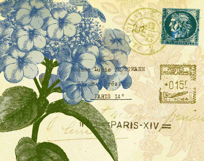 Compatible Floral for JAHRRIESNGE flowers lpf09627 Compatible Floral JAHRRIESNGE for flowers lpf09627