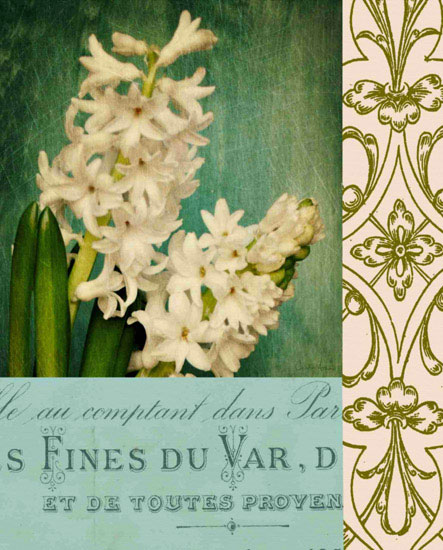 Compatible Floral for JAHRRIESNGE flowers lpf09652 Compatible Floral JAHRRIESNGE for flowers lpf09652