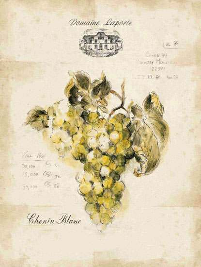 Compatible Floral for JAHRRIESNGE grapes lpf09657 Compatible Floral JAHRRIESNGE for grapes lpf09657