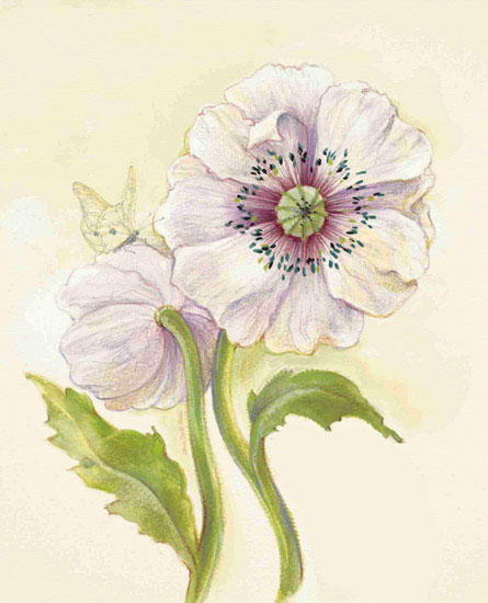 Compatible Floral for JAHRRIESNGE flowers lpf09686 Compatible Floral JAHRRIESNGE for flowers lpf09686