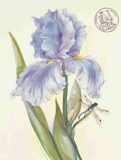 Compatible Floral for JAHRRIESNGE flowers lpf09693 Compatible Floral JAHRRIESNGE for flowers lpf09693