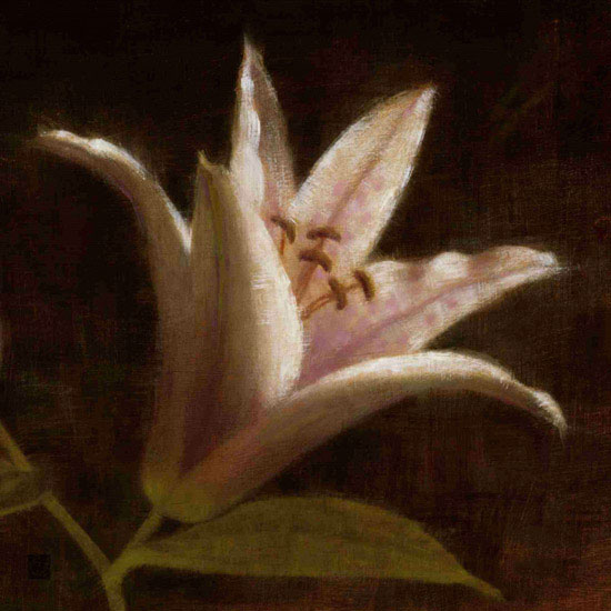 Compatible Floral for JAHRRIESNGE flowers lpf09818 Compatible Floral JAHRRIESNGE for flowers lpf09818