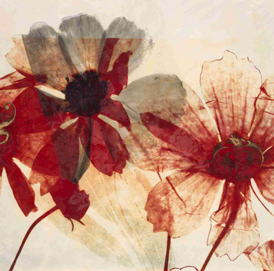 Compatible Floral for JAHRRIESNGE flowers lpf09869 Compatible Floral JAHRRIESNGE for flowers lpf09869